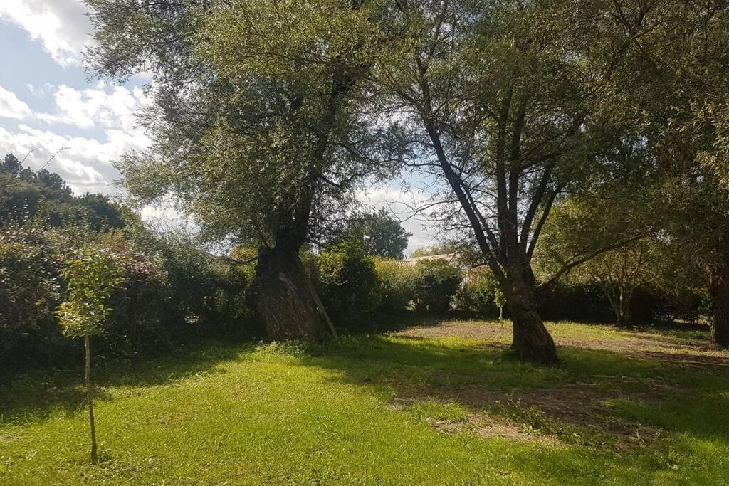 Vila Demeure En Pierre Avec Piscine Privee Etauliers Exteriér fotografie